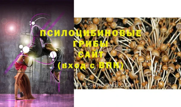трава Богородицк