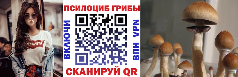 Псилоцибиновые грибы прущие грибы  Мурманск 